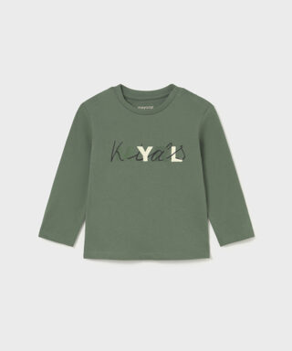 Camiseta m/l básica VERDE ABETO