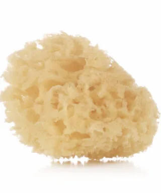 Set de 2 esponjas naturales