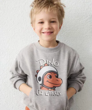 Sudadera con dinosaurio GRIS